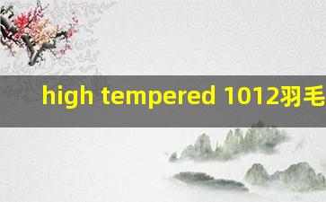 high tempered 1012羽毛球拍